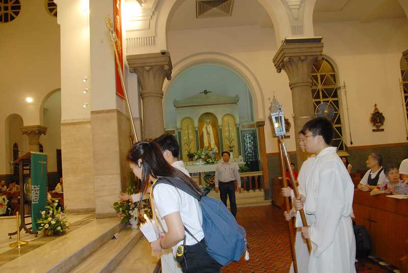 DSC (337)
